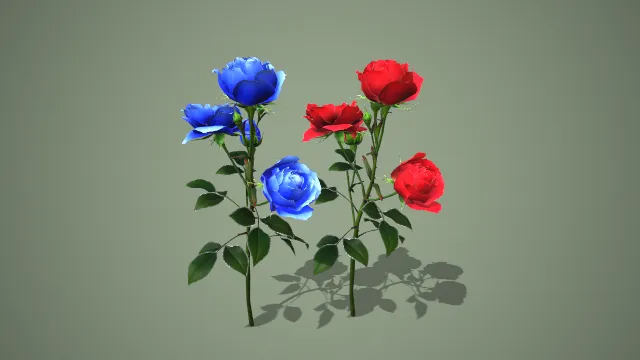 红蓝双色盛开带苞玫瑰枝条写实花卉 3D 模型