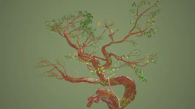 马德罗纳入侵物种植物树枝花朵藤蔓