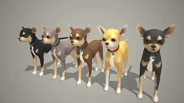 多色吉娃娃犬 3D 模型 带项圈迷你宠物犬角色素材合集