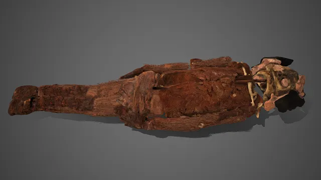 原始风格  裹尸骨殖  腐殖质  纤维材质  骷髅  祭祀  