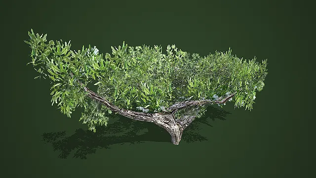 古风矮壮绿植模型 游戏场景绿化装饰树木素材