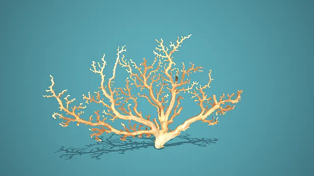 写实风浅黄多分叉枝状海洋珊瑚 3D 模型