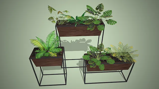 阶梯式绿植花架  热带观叶组合  室内软装  自然清新