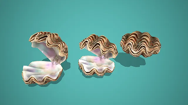 棕纹白贝多形态开壳牡蛎贝类组合 3D 模型