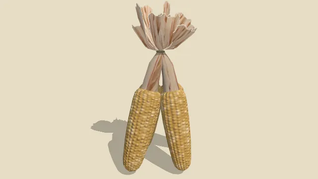 绑成一捆的剥过皮的玉米蔬菜食物