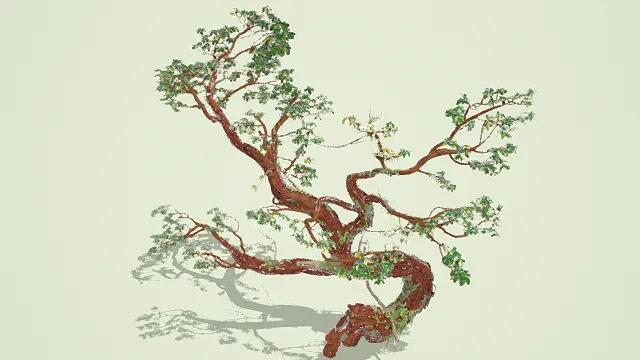 3D卡通风格树木模型，创意设计（3D植物、卡通风格、清新自然风，植物设计主题）
