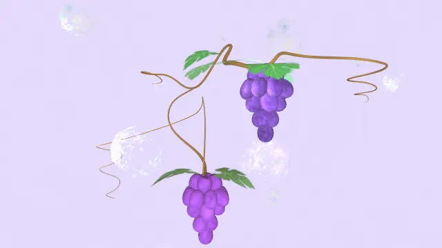 风格化藤蔓上的两串葡萄周围有泡泡水果
