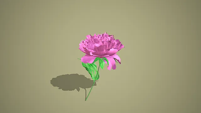 单枝粉紫色重瓣牡丹花卉 3D 模型