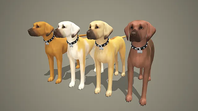 多色维兹拉犬带铆钉项圈 3D 模型 猎犬角色素材合集