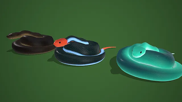 棕黑红蓝绿三色蜷曲蛇类组合 3D 模型