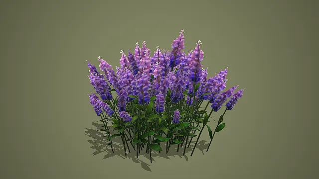 低模紫色薰衣草花簇 3D 模型 游戏场景田园植物素材