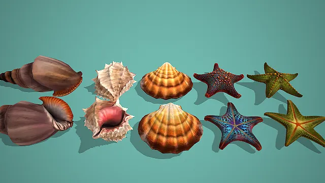 多色海螺扇贝海星海洋生物组合 3D 模型