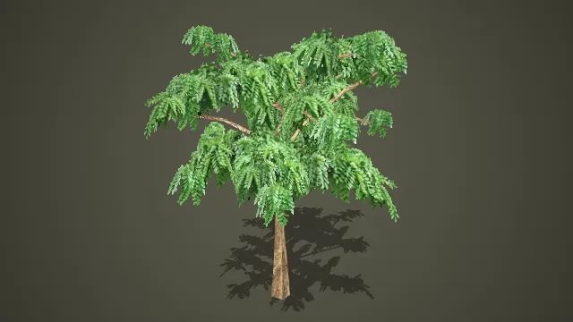 低模羽状叶乔木 3D 模型 游戏场景热带绿化树木素材