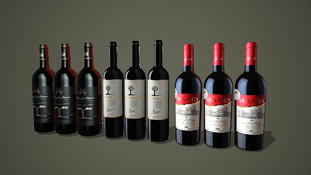 多风格质感红酒瓶套装 3D 模型