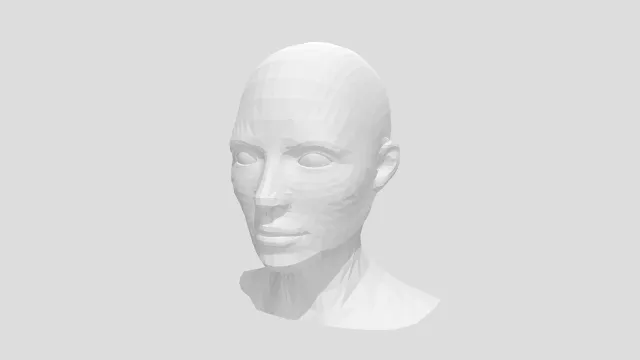 bust
