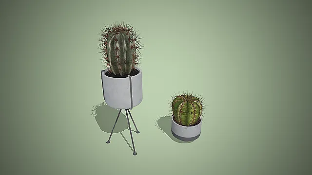 一组简约风格的写实仙人掌盆栽3D模型