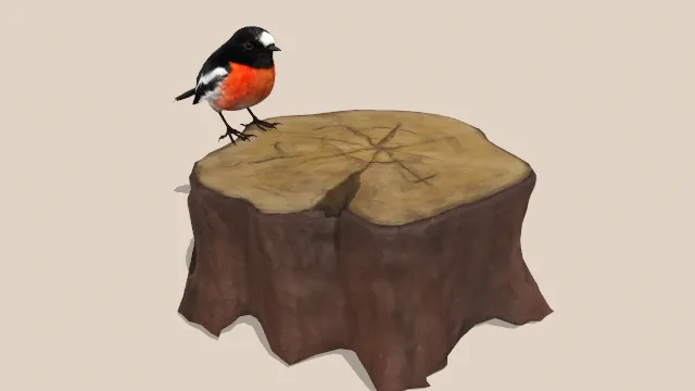 小鸟站在木头墩上动物