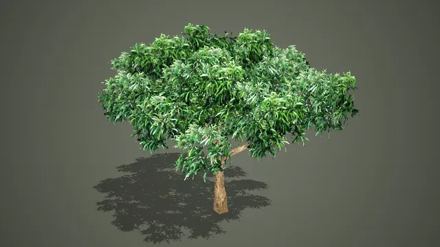 低模伞状阔叶乔木 3D 模型 游戏场景景观绿化树木素材