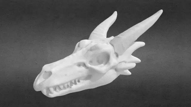 巨龙骨头化石01_obj