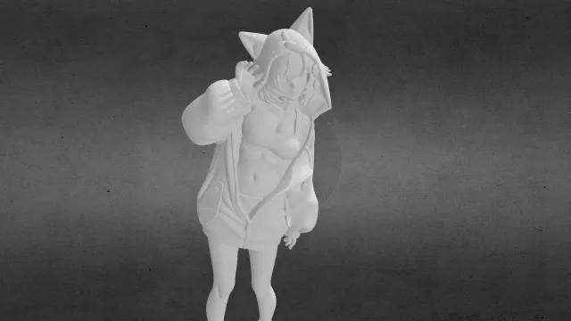 猫耳连帽衫女孩 兽耳娘 兽耳小萝莉stl.stl