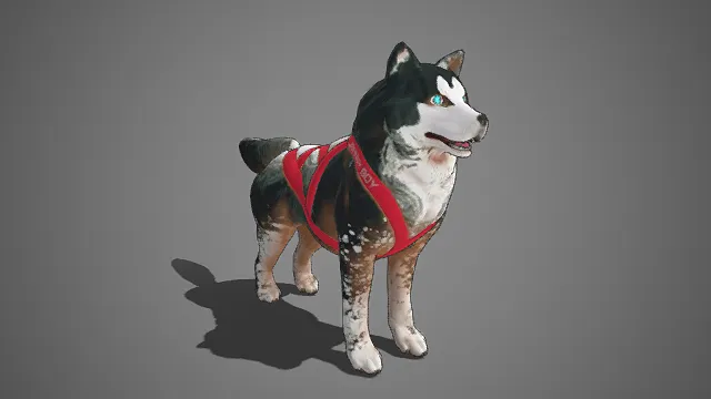 哈士奇  黑白主色调  星芒状异色瞳  造型利落又醒目  卡通感  灵动活泼