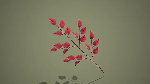 单枝酒红色多分枝红叶植物枝条 3D 模型