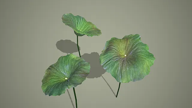 写实风格青褐渐变荷叶组合 3D 中式水景装饰道具模型