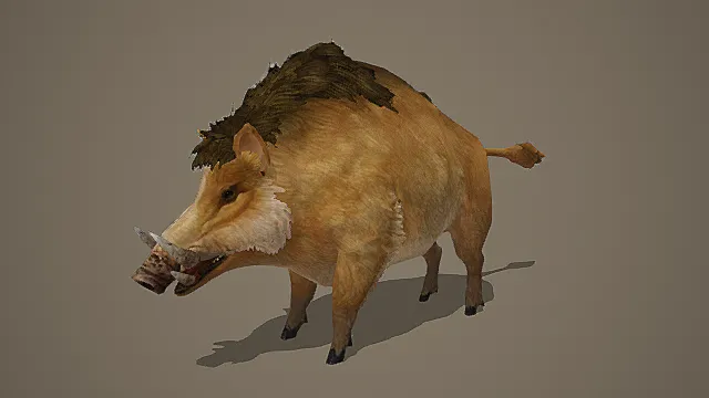 自然写实风格山地野猪模型