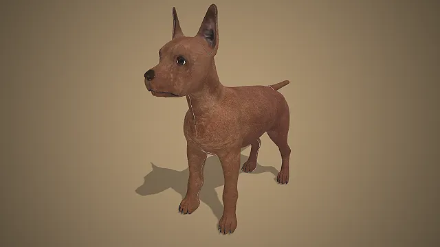 泰国脊背犬幼犬  写实犬类  红棕色短毛  直立尖耳