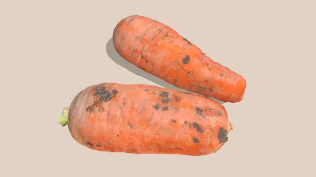 现实胡萝卜扫描模型蔬菜食物