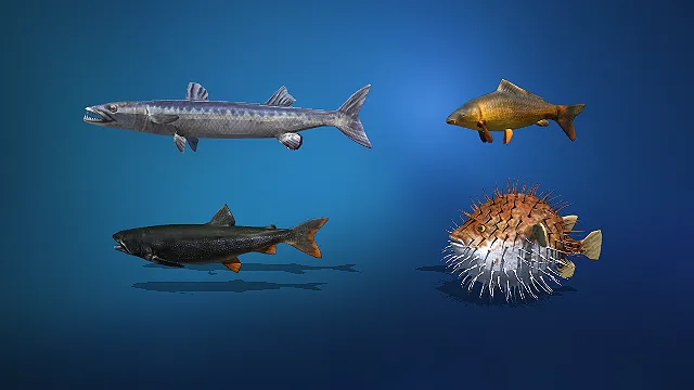 写实风多形态特色淡水鱼组合 3D 模型