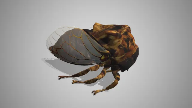 黑神话  金蝉  动物  游戏  建模  