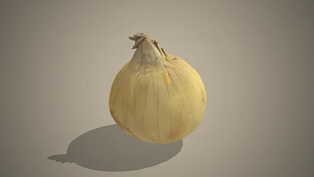黄皮洋葱  食材模型  家常调味  烹饪基底