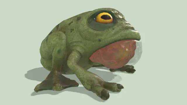 卡通青蛙运动动画动物模型