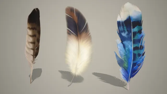 三根不同样式的羽毛写实