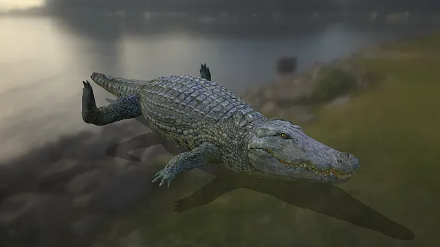 写实鳄鱼  鳞片状皮肤  两栖爬行动物  尖牙捕食者