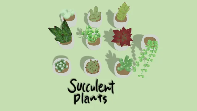 卡通风格化多肉盆栽植物