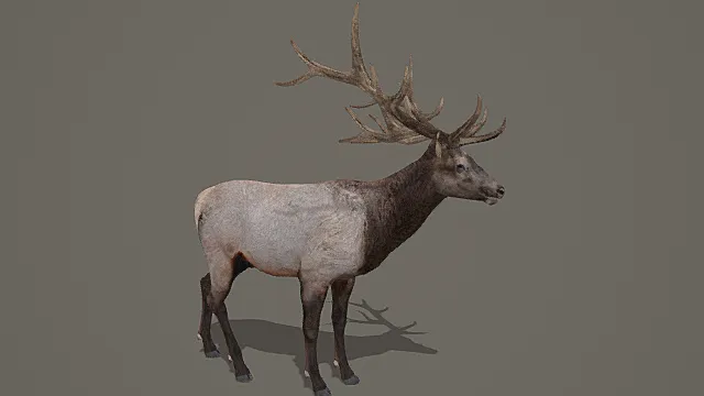 奇幻森林巨角鹿游戏场景模型