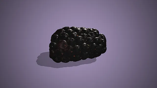 黑莓  亮黑紫果皮  浆果类水果  酸甜多汁  野生浆果