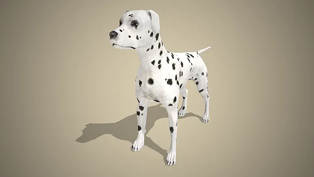 大麦町犬  斑点狗  白底不规则黑斑  活泼机敏伴侣犬