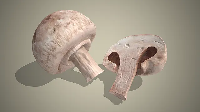 一个写实风格的常见食用菌类食材口蘑的3D模型