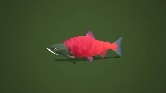 写实风红绿渐变彩身鱼 3D 模型