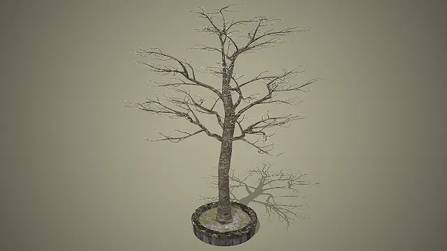 一款写实风格的，适用于庭院场景的枯树摆件3D模型