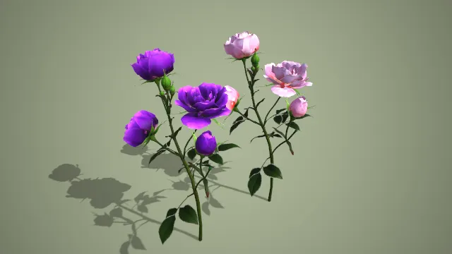 深紫与浅粉双色带苞玫瑰枝条写实花卉 3D 模型