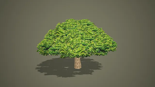 低模写实合欢树 3D 模型 游戏场景景观绿化乔木素材