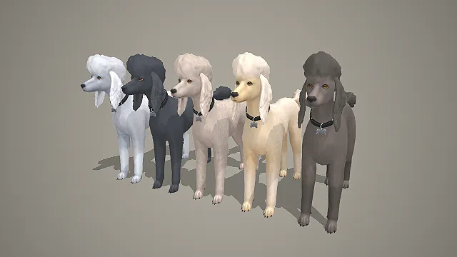 多色贵宾犬带项圈 3D 模型 优雅宠物犬角色素材合集