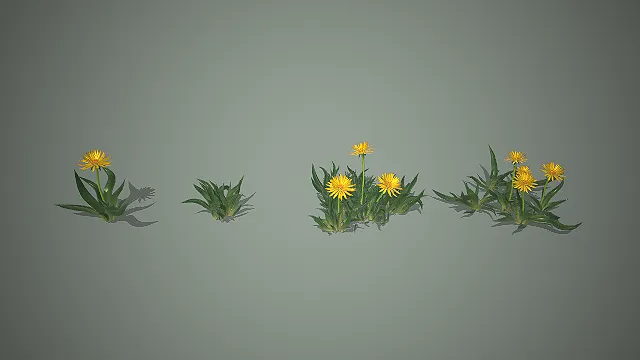 一套写实风格的黄花草本植物3D模型组