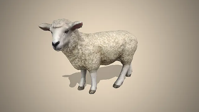 写实趣味绵羊  农场动物形象  拟真风格  米白羊毛