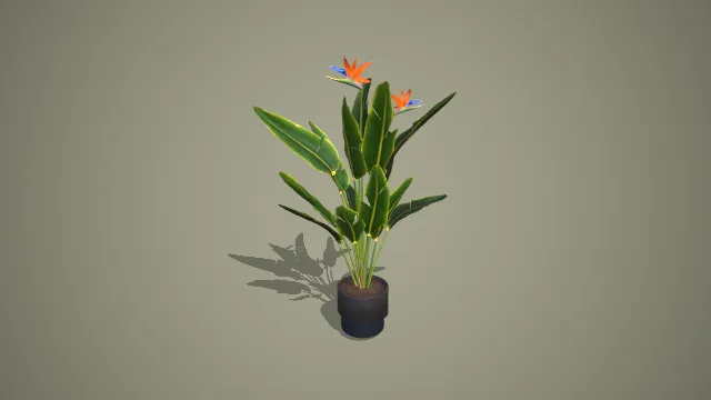 带接水盘的开花鹤望兰大型落地盆栽绿植 3D 模型