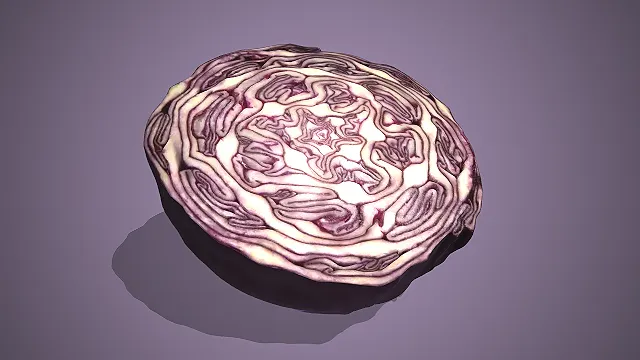 一个写实风格的新鲜叶菜类蔬菜紫甘蓝3D模型